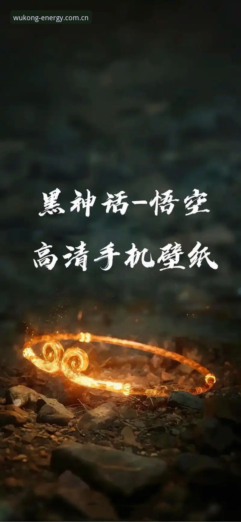 赛事数据全追踪，悟空体育网页版迎来功能升级最新消息